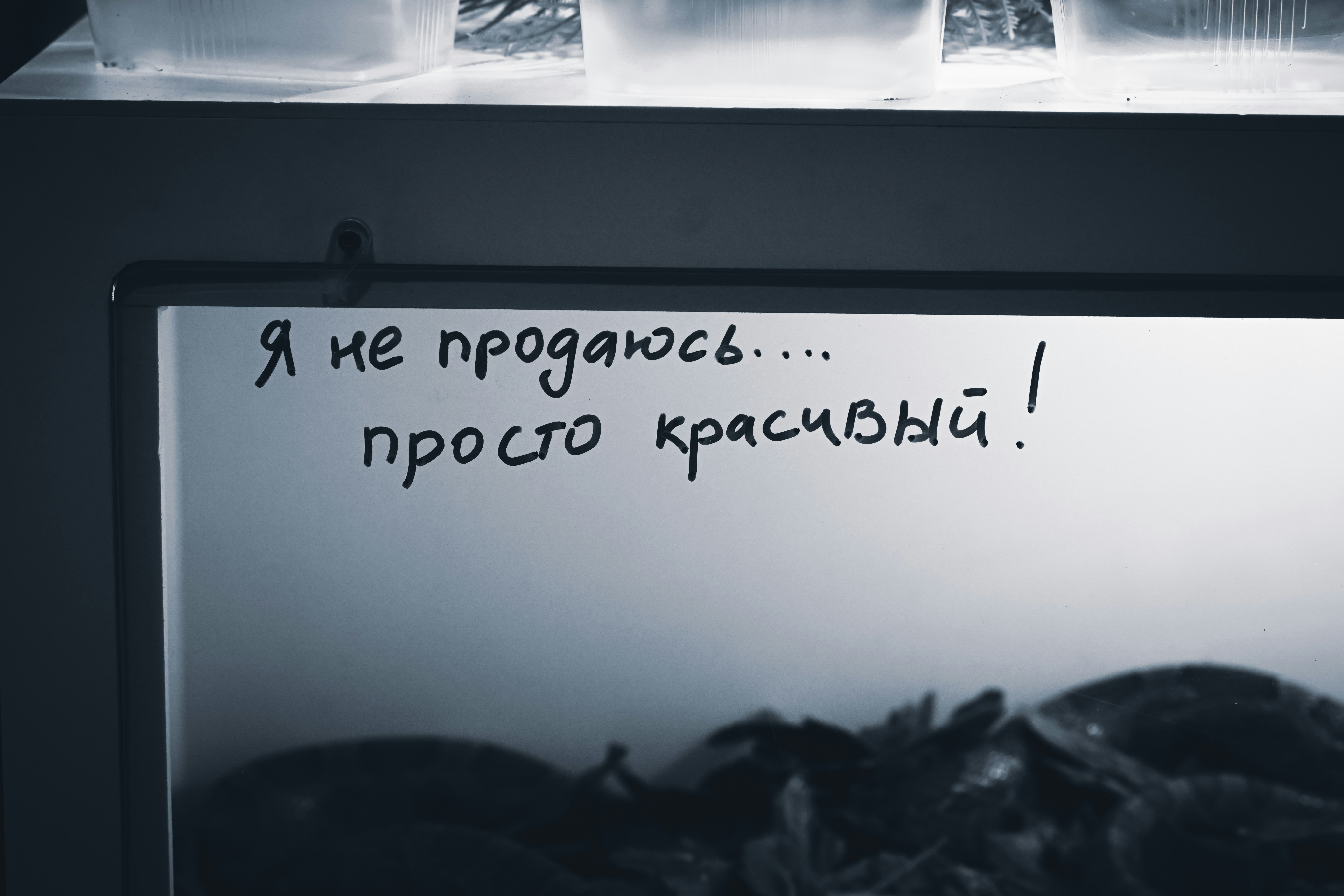 フォカッチャの上にパプリカやトマトで花模様を描き、カラフルに仕上げられたフォカッチャアートがカット前に置かれている様子