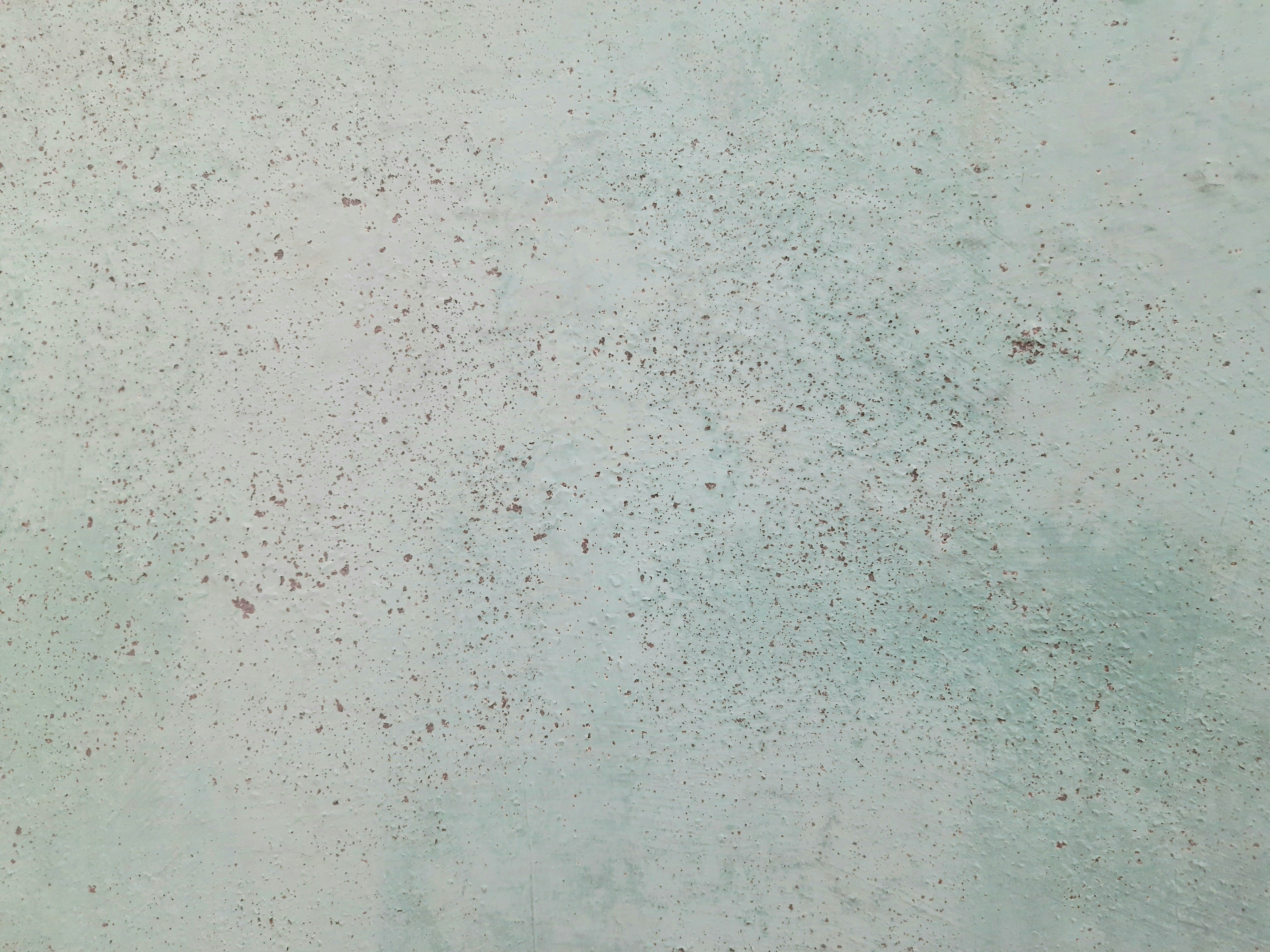 焼き立ての全粒粉ブールと、横に置かれたスープやチーズが並ぶ食卓シーン