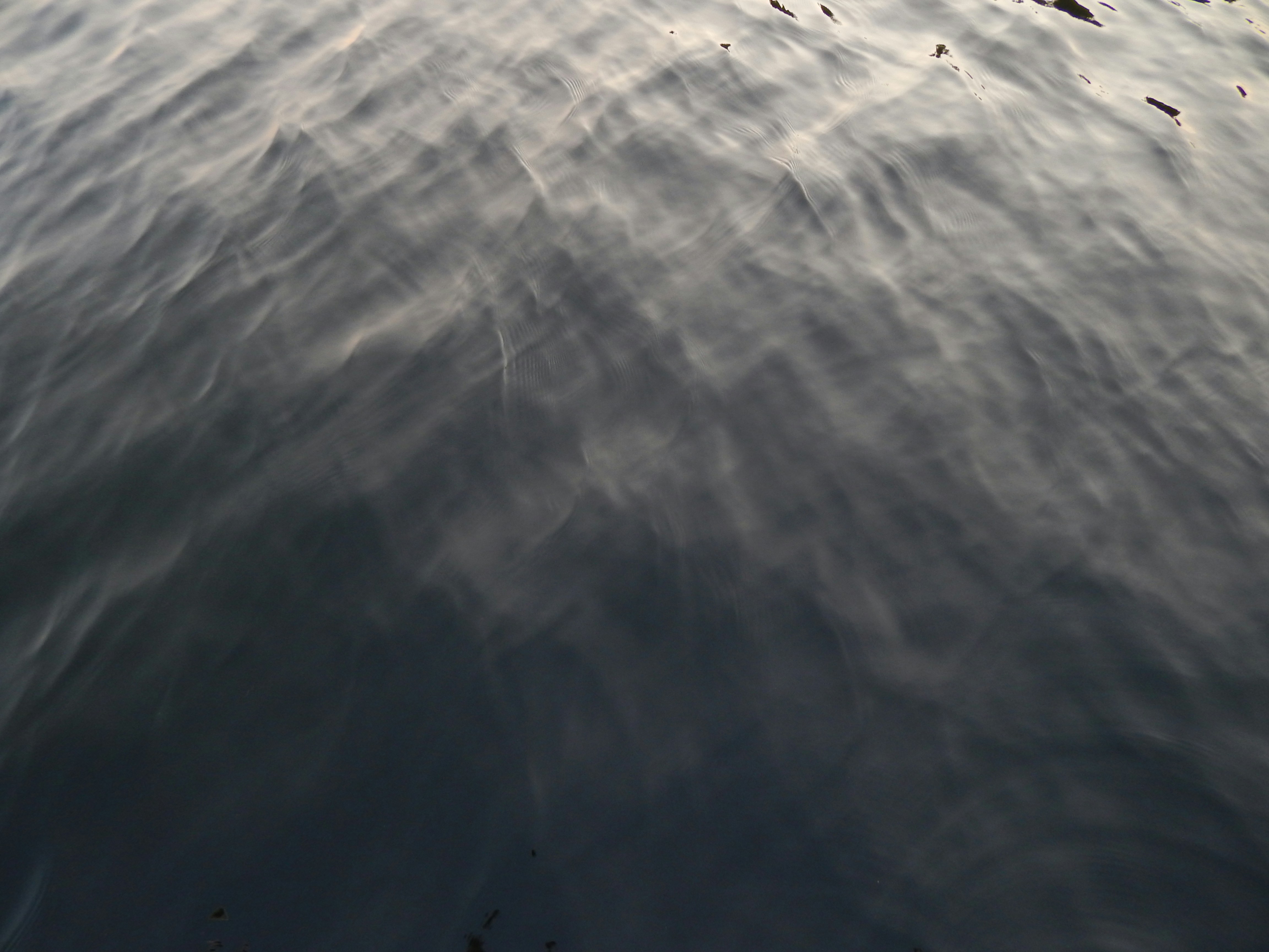 スキレットの上で両面を焼いているイングリッシュマフィンのアップ