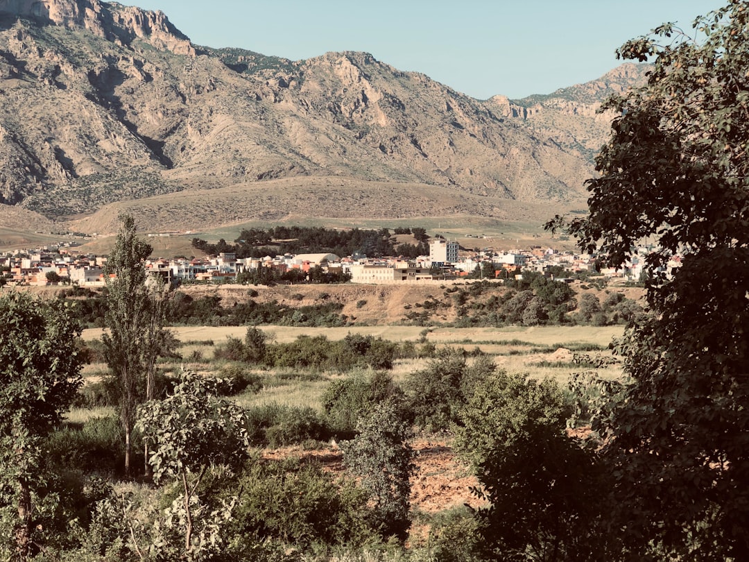 自宅のキッチンで、パルタを手作りしている様子を写した写真