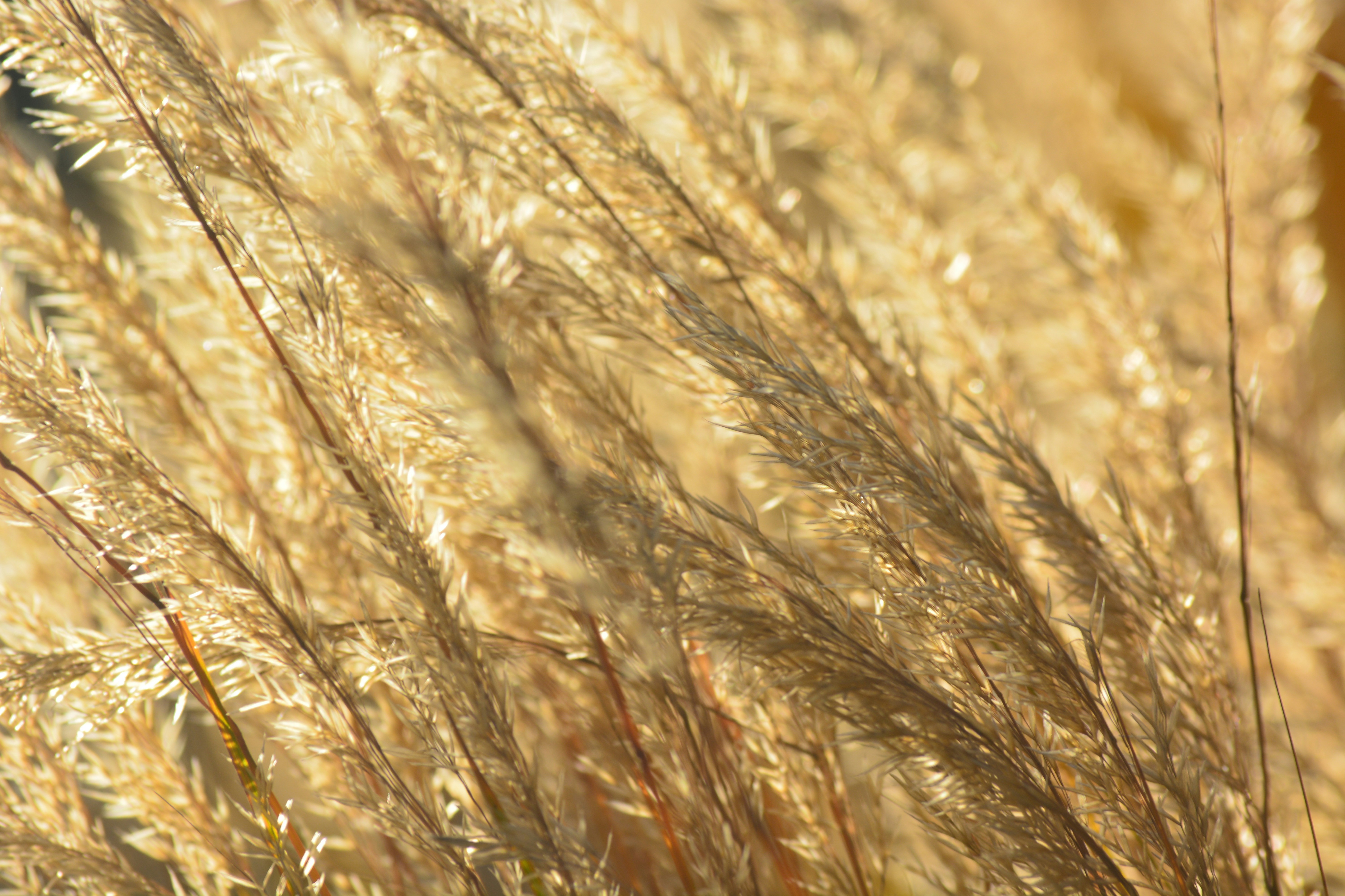 ほっこりパン工房の外観