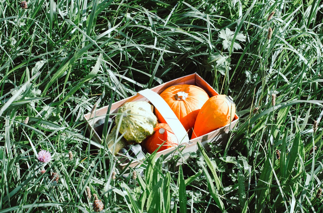 収穫祭の食卓風景